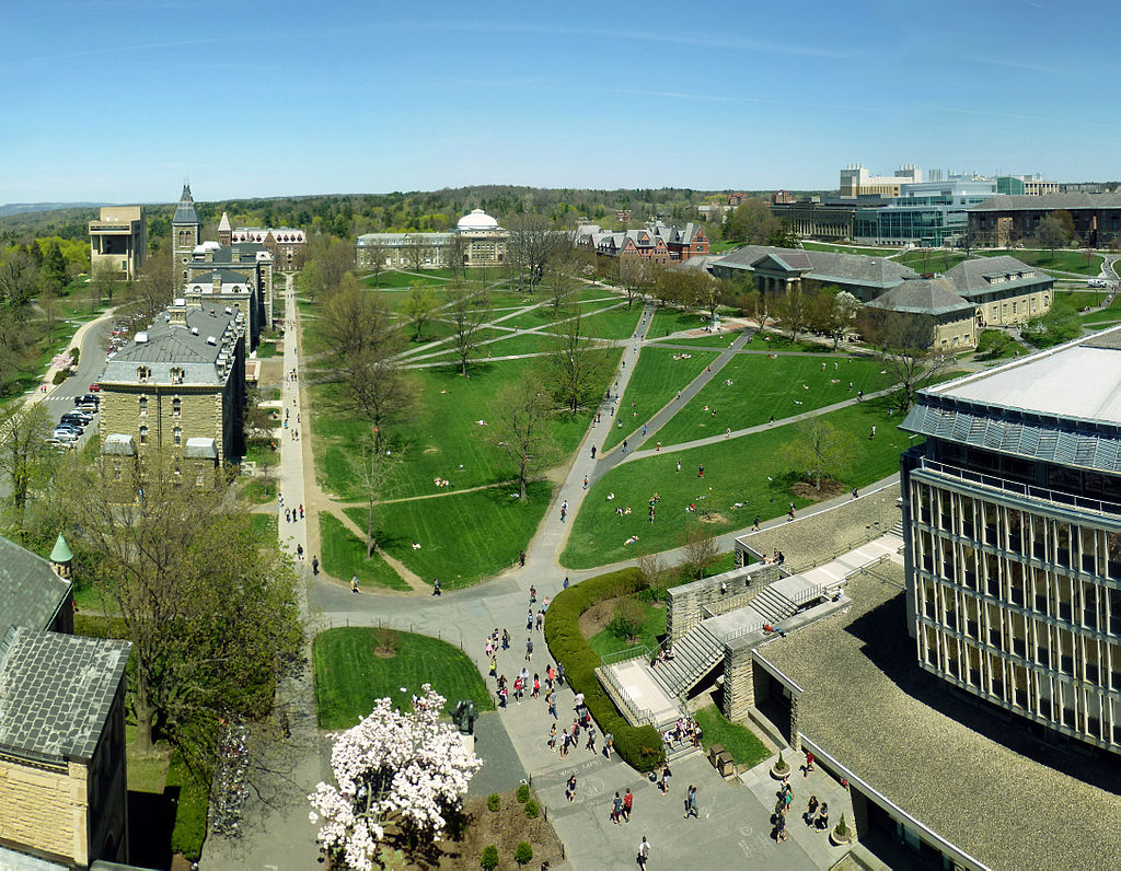 international business major